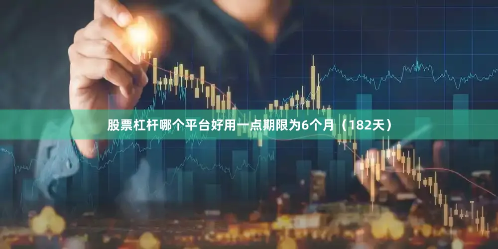 股票杠杆哪个平台好用一点期限为6个月（182天）